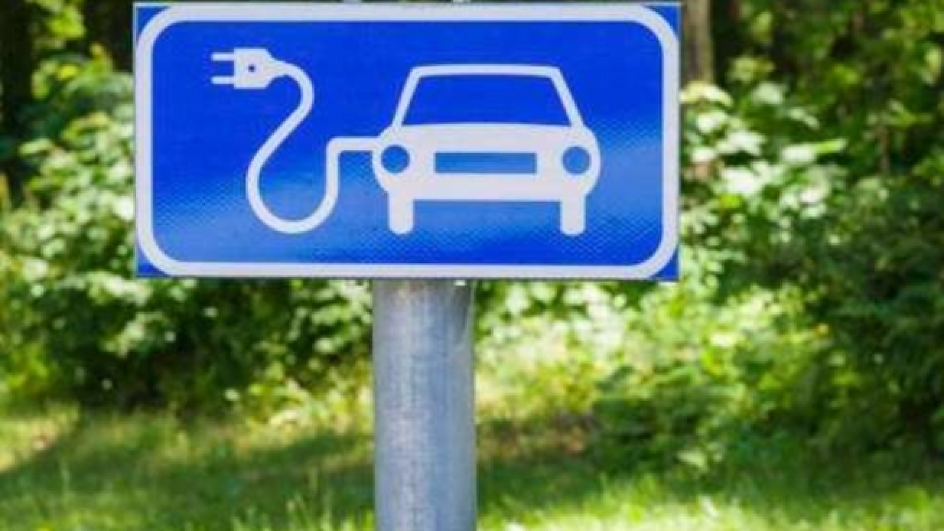 Immagine di Cresce la mobilità “verde”: ecco le città con le vetture più eco