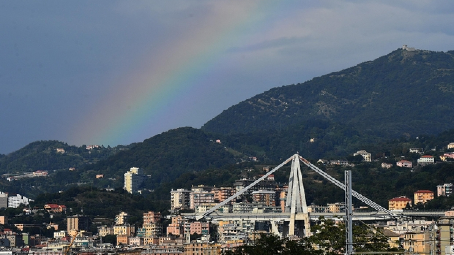 Immagine di Prima gettata di cemento per il nuovo ponte di Renzo Piano