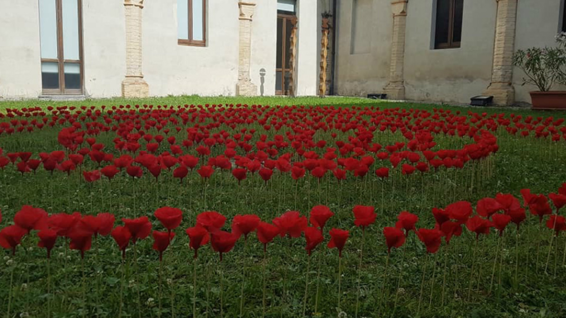 Immagine di Obiettivo “Condivisione”, perchè l’arte è terapia