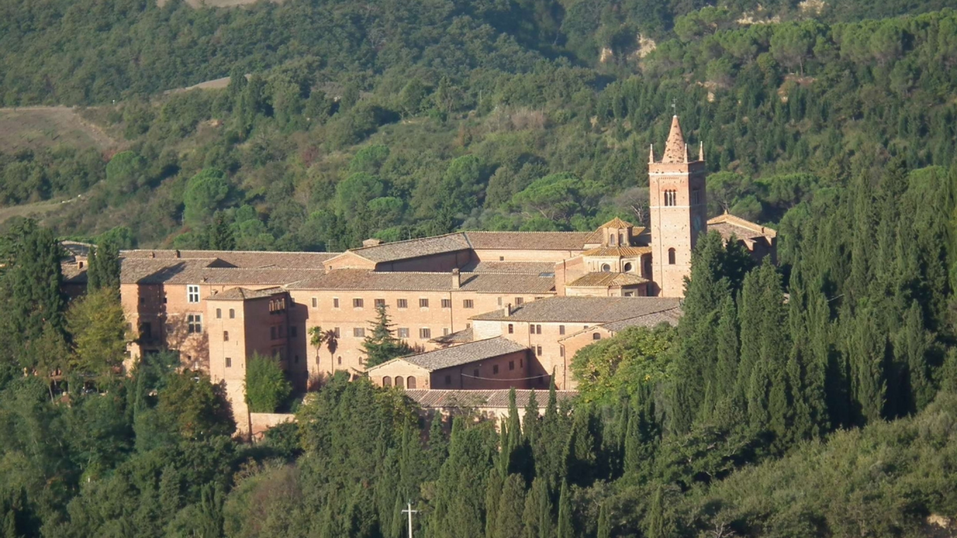 Immagine di Monte Oliveto, da 700 anni faro di spiritualità e bellezza