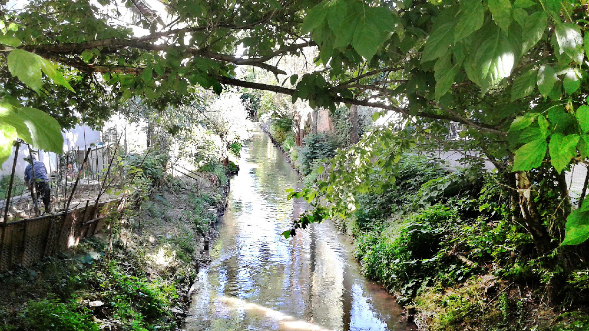 Immagine di Parchi, spazi preziosi