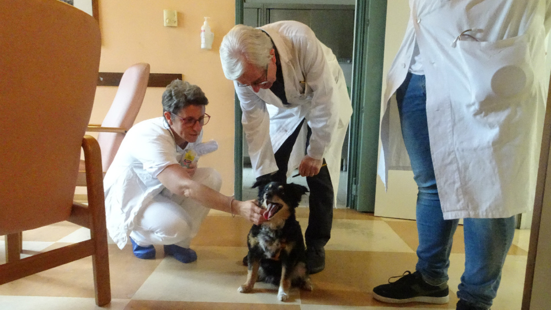 Immagine di La pet therapy ai Giovedi’ d’Estate