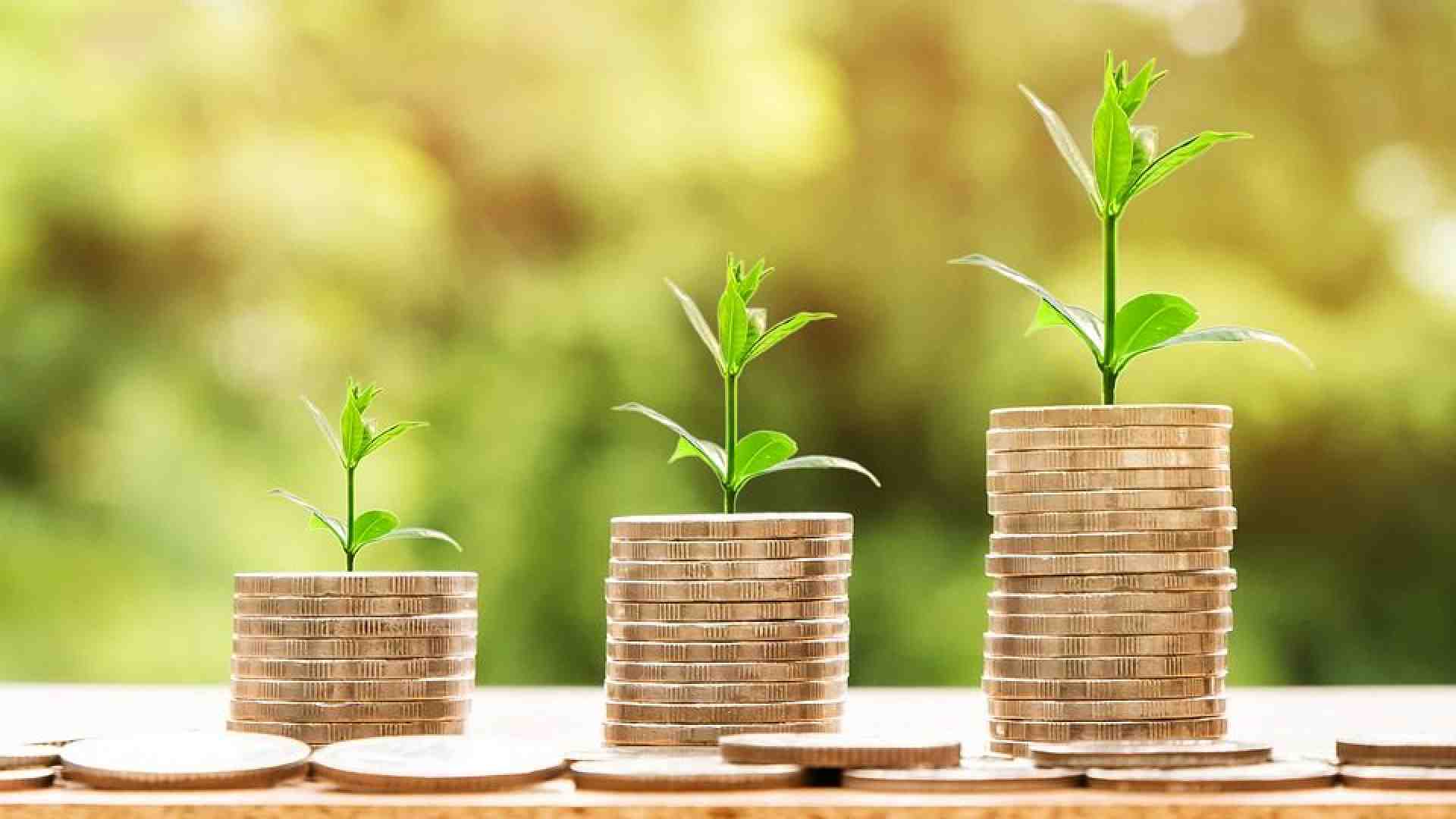 Immagine di Fiorisce il nostro debito ma non cresce l'economia