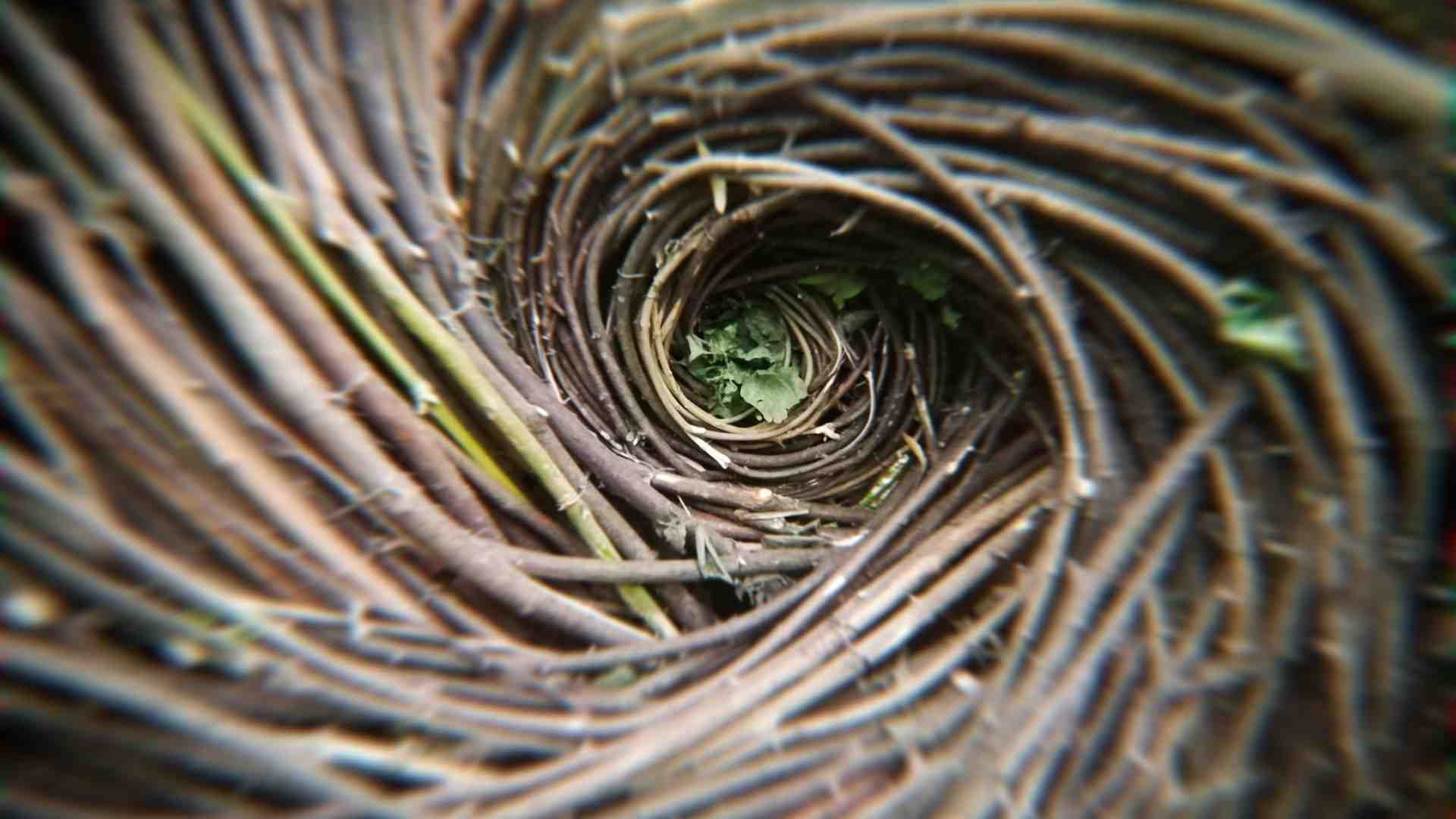 Immagine di A Villa Buri tra arte e natura con "Linea Terra Acqua"