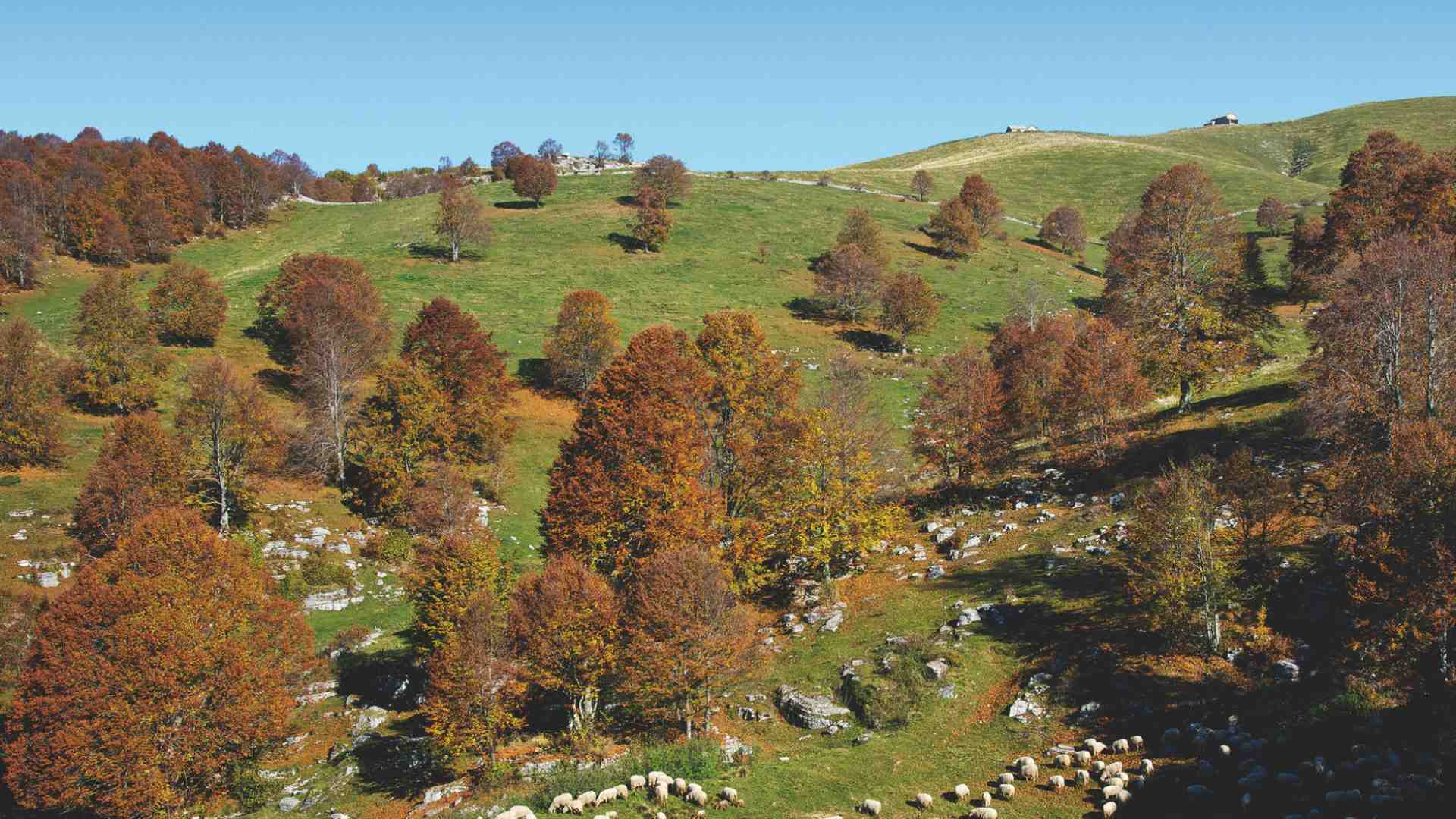 Immagine di La montagna veronese trova spazio nel Quaderno