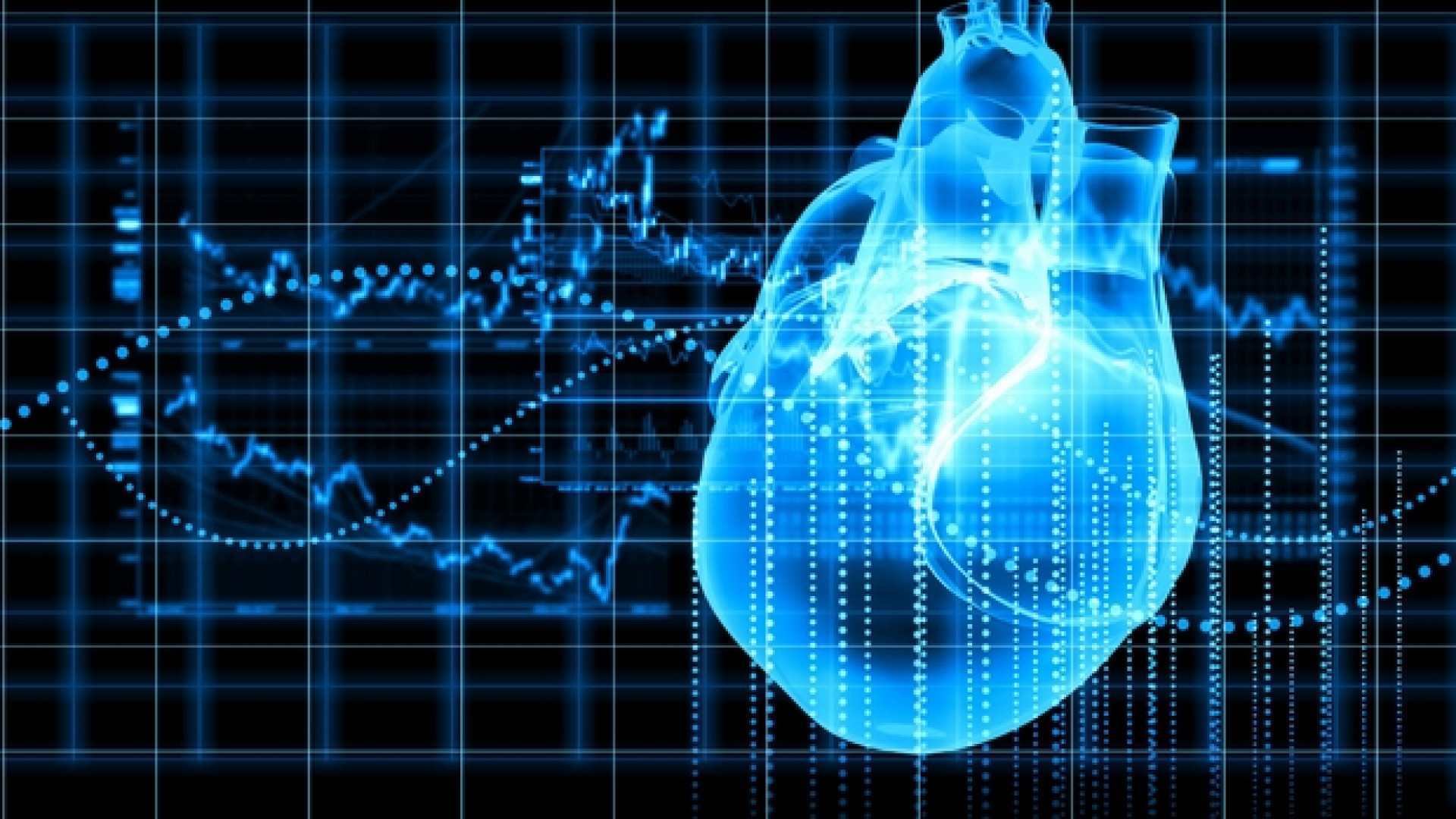 Immagine di Ecco il modello algoritmico del cuore umano