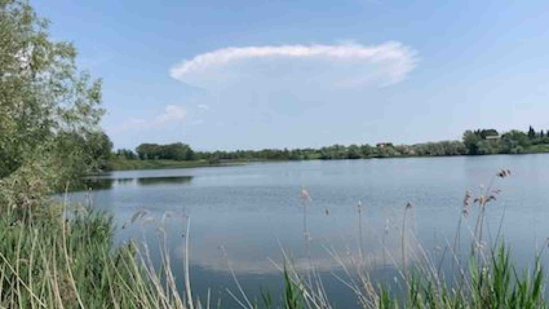 Immagine di Attorno al laghetto del Frassino un’oasi di flora e fauna assai preziose