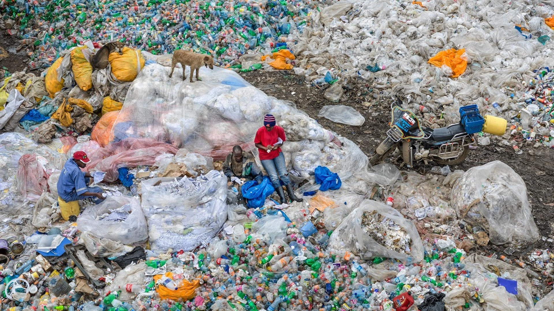 Immagine di “Antropocene”, il disastroso passo dell'uomo sulla Terra
