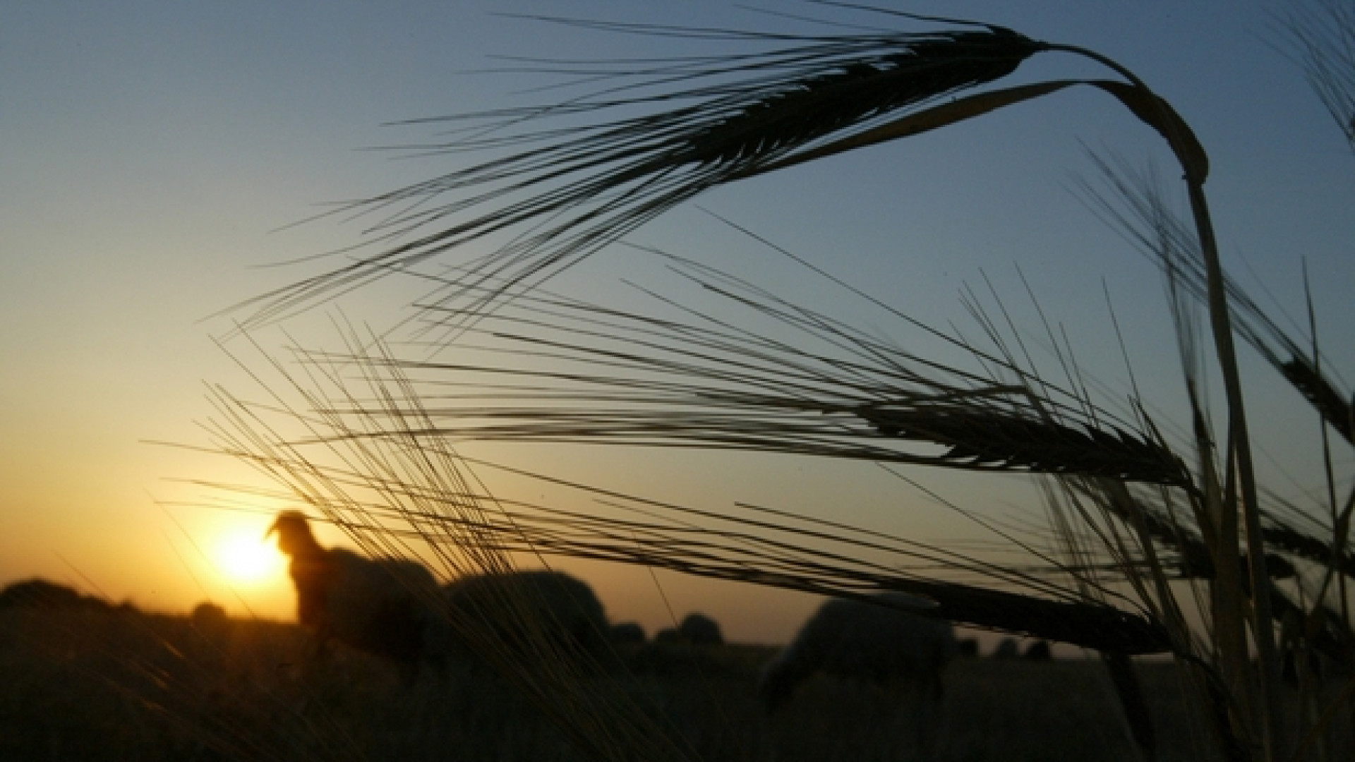 Immagine di Già consumata la natura disponibile