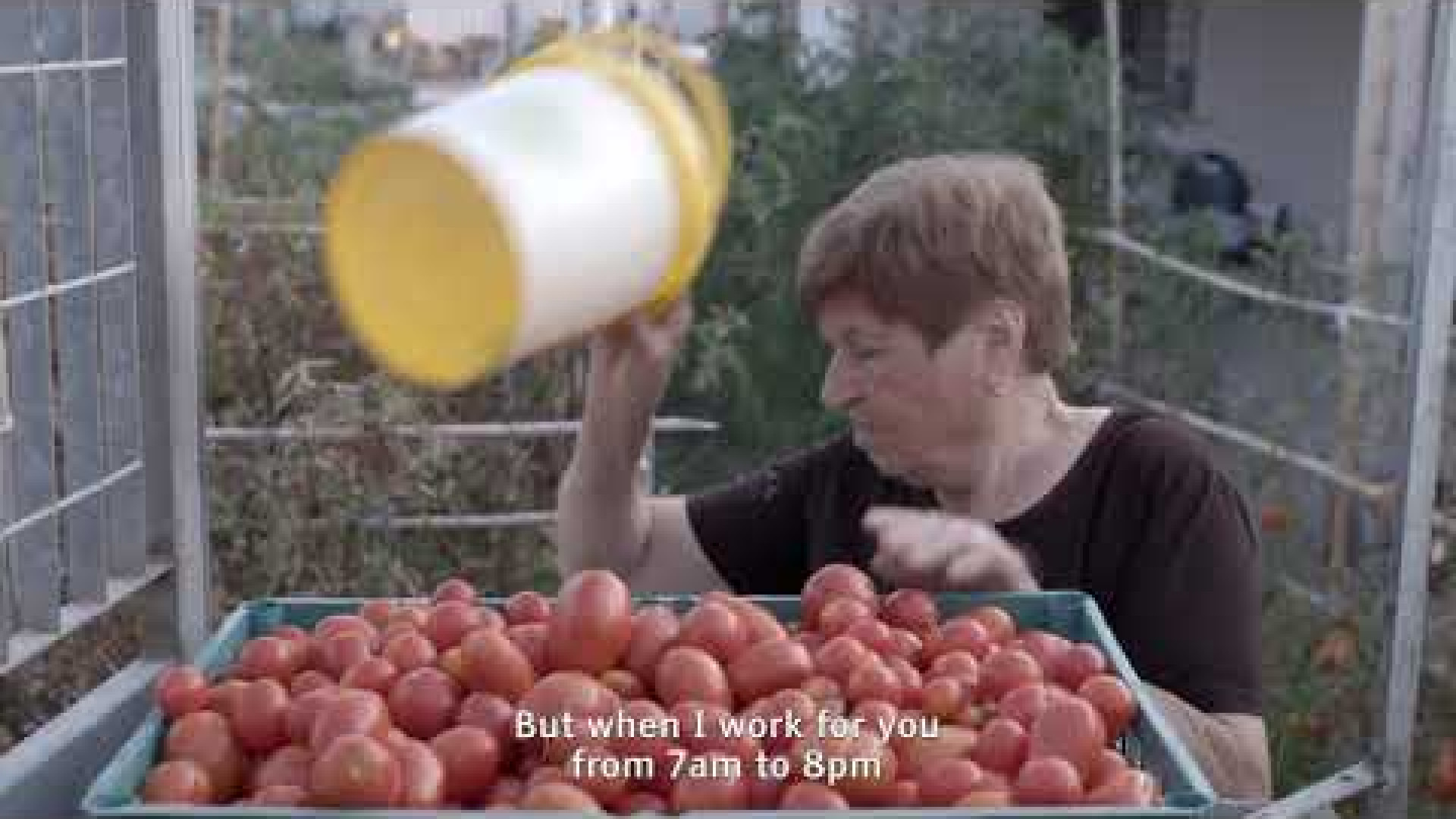 Immagine di Restare o partire? Il dilemma dell'emigrazione in un festival cinematografico