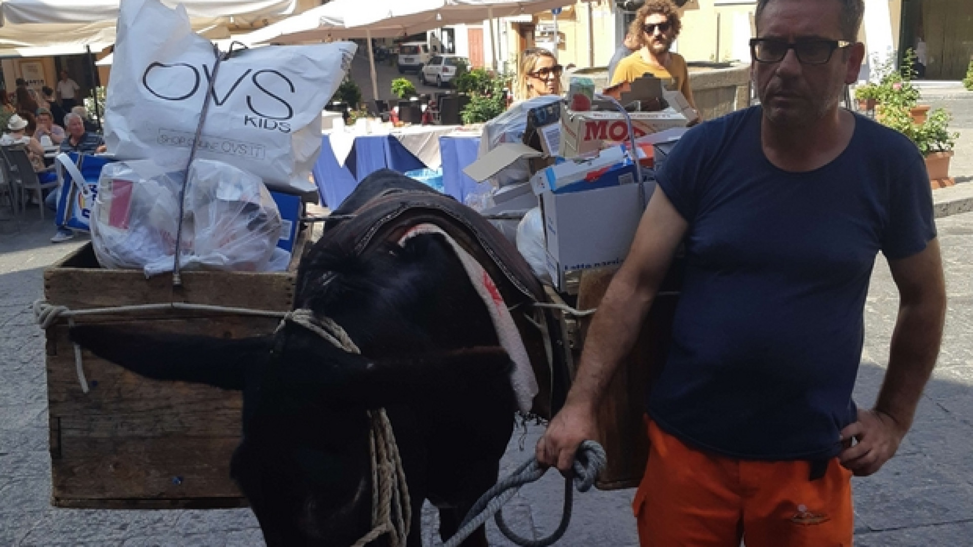 Immagine di Il «miracolo» della manna ha rianimato Castelbuono