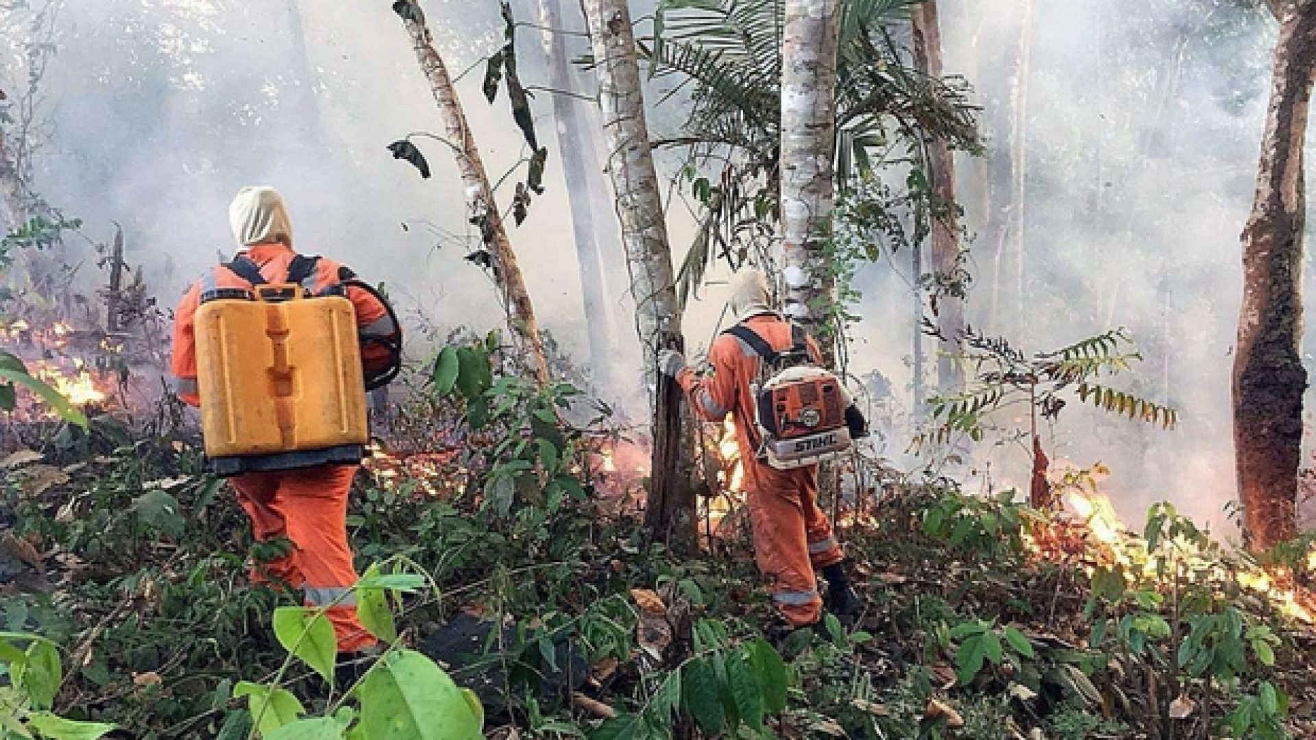 Immagine di L'Amazzonia brucia, Bolsonaro invece accusa Macron