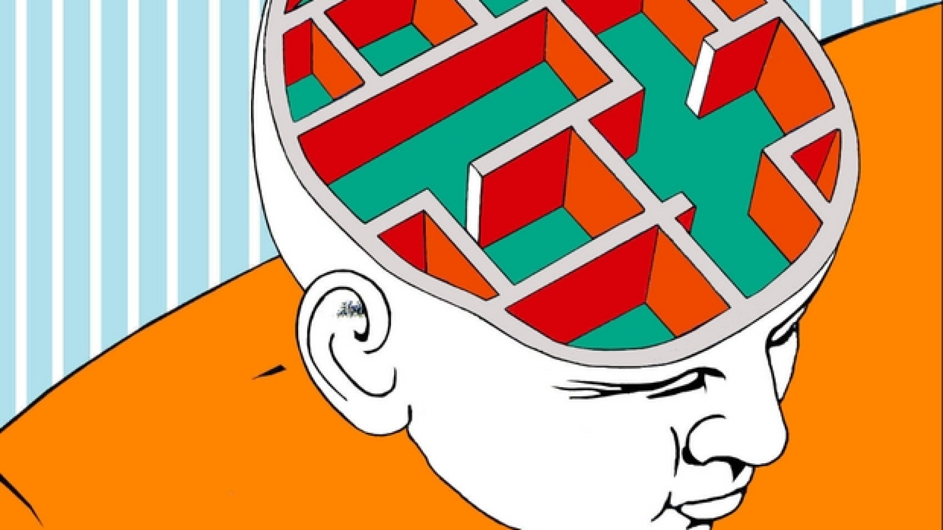 Immagine di Le neuroscienze e le risorse nascoste della persona