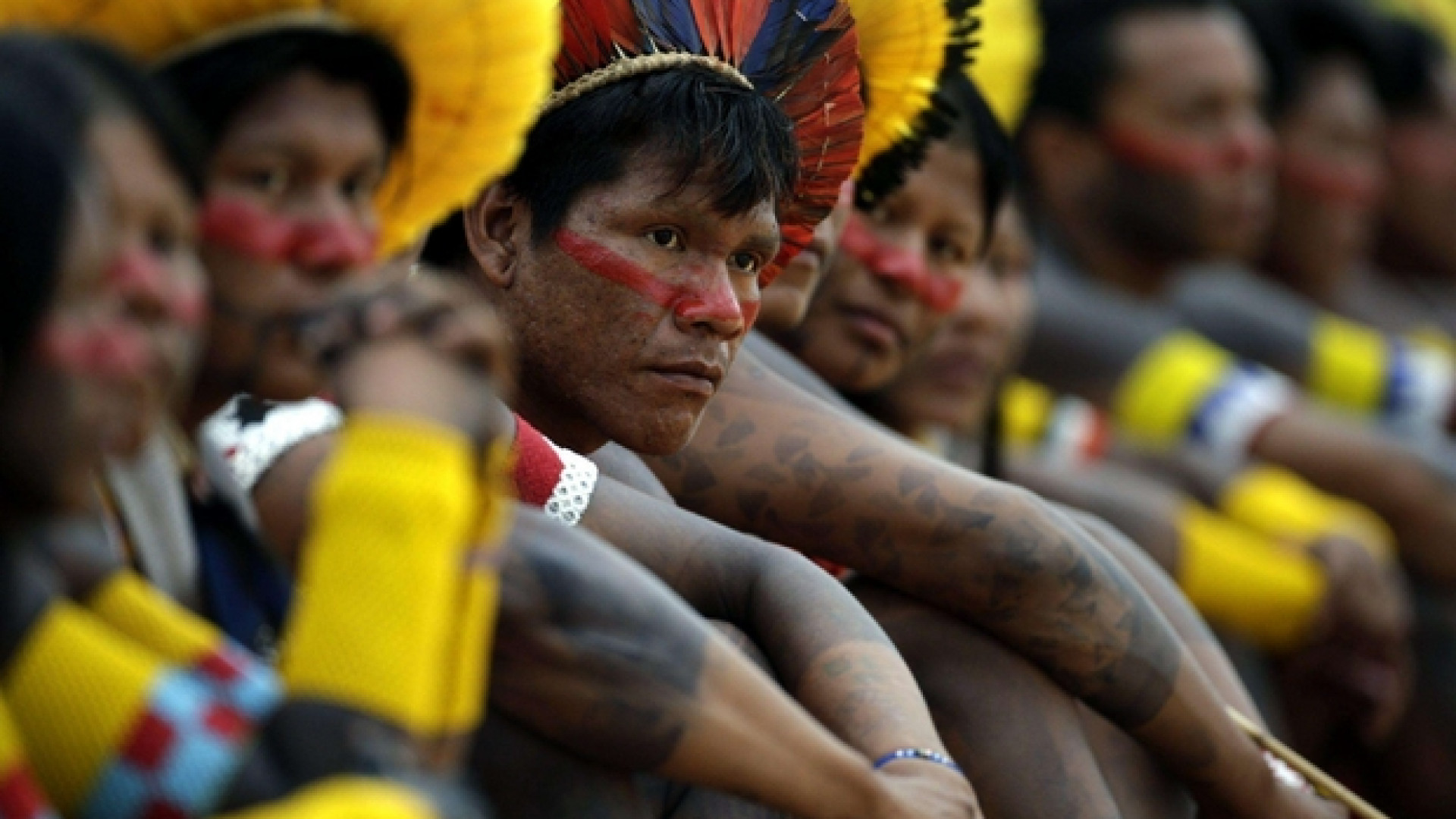 Immagine di Gli indios dell'Amazzonia: «Non fateci bruciare vivi»