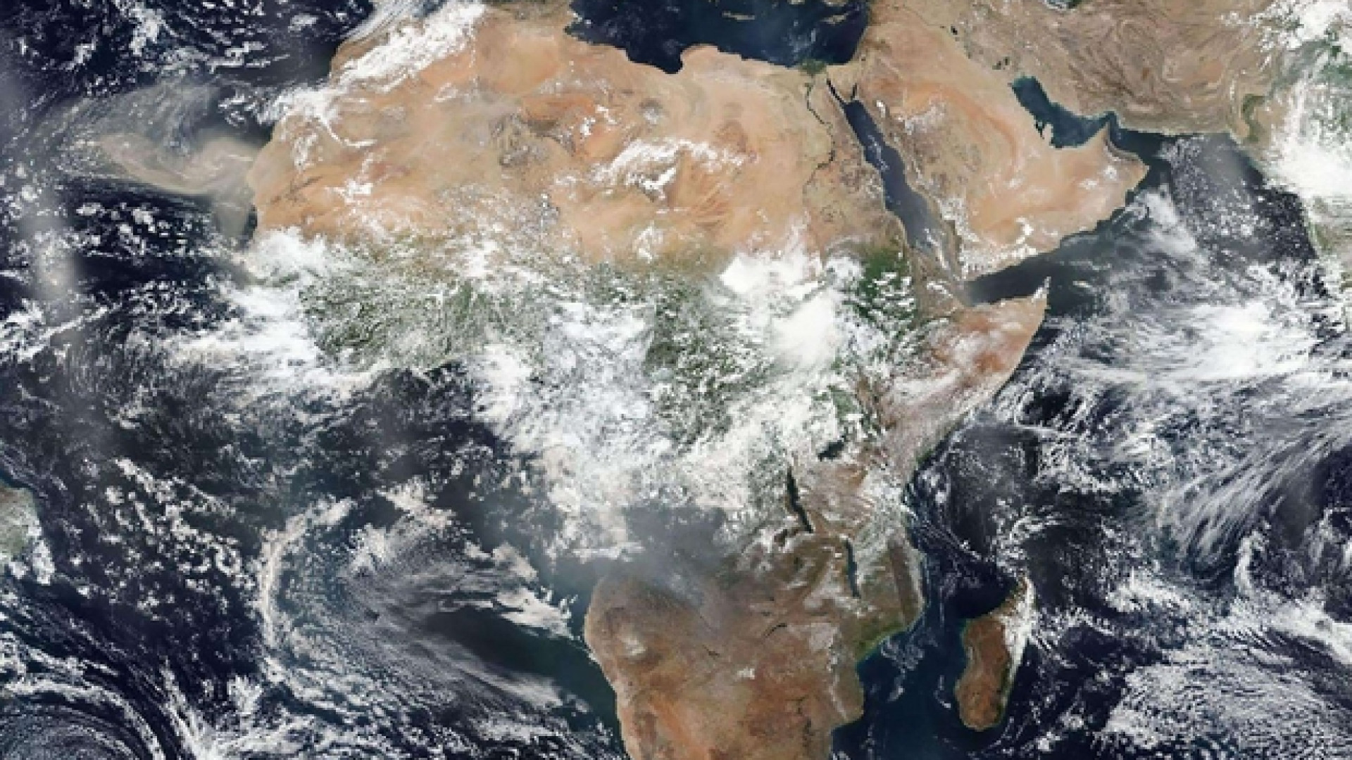 Immagine di Non c'è solo l'Amazzonia: il mondo brucia il suo futuro