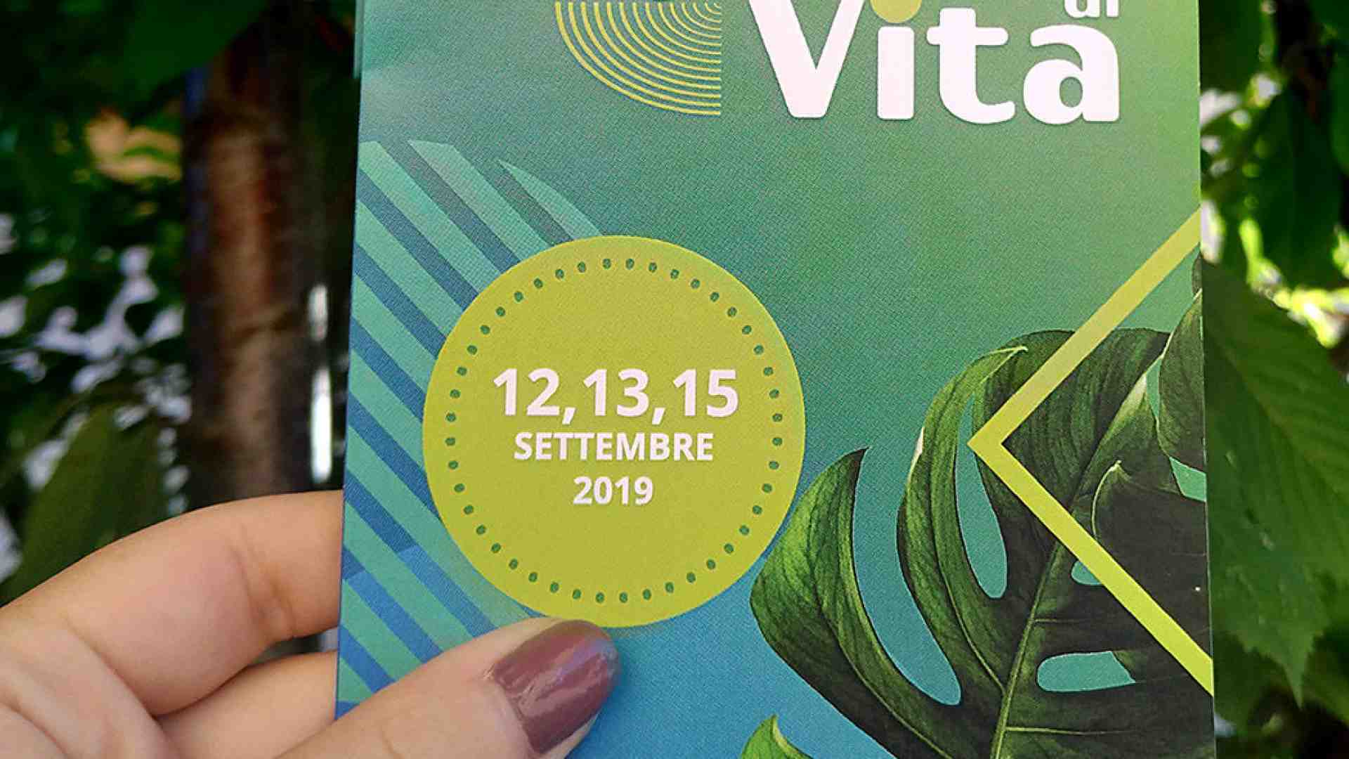 Immagine di Villafranca-Nogarole Rocca. Al via il 6º Festival degli Stili di vita