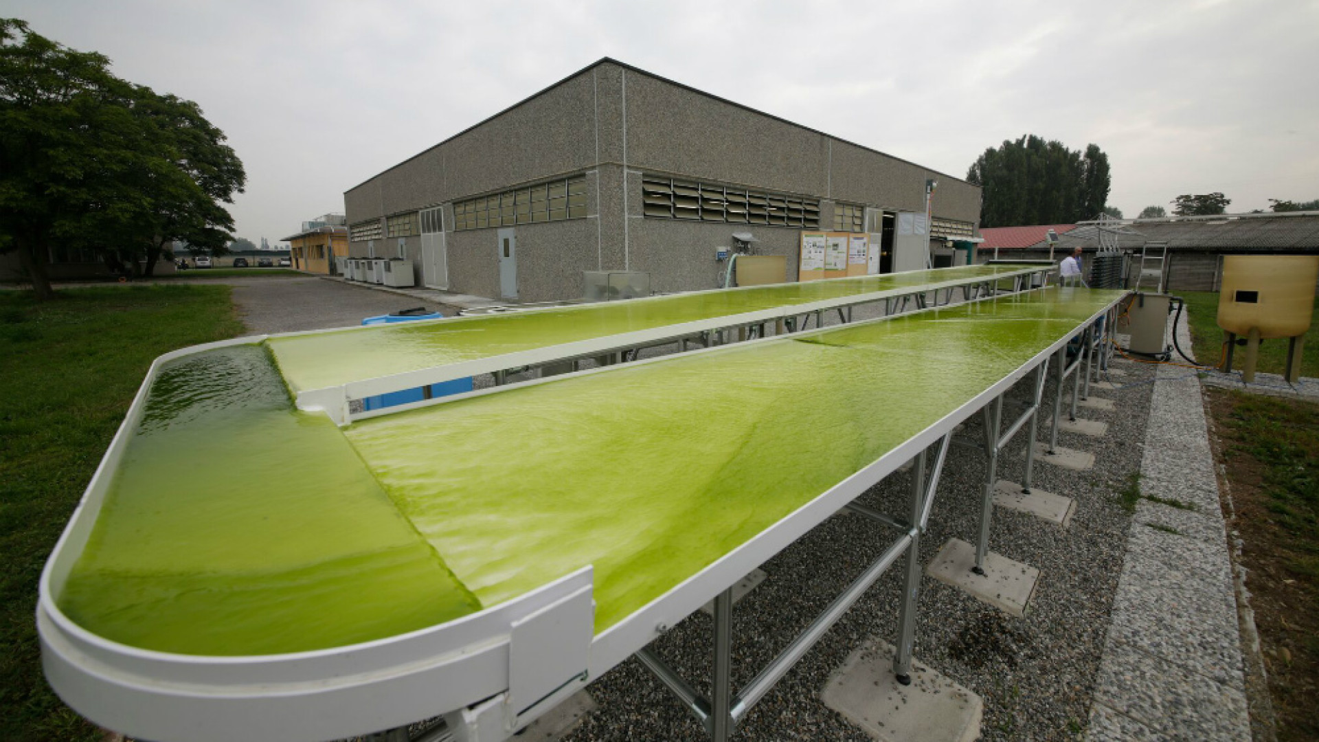 Immagine di Inaugurato il nuovo Parco Bioreattori del polo delle microalghe
