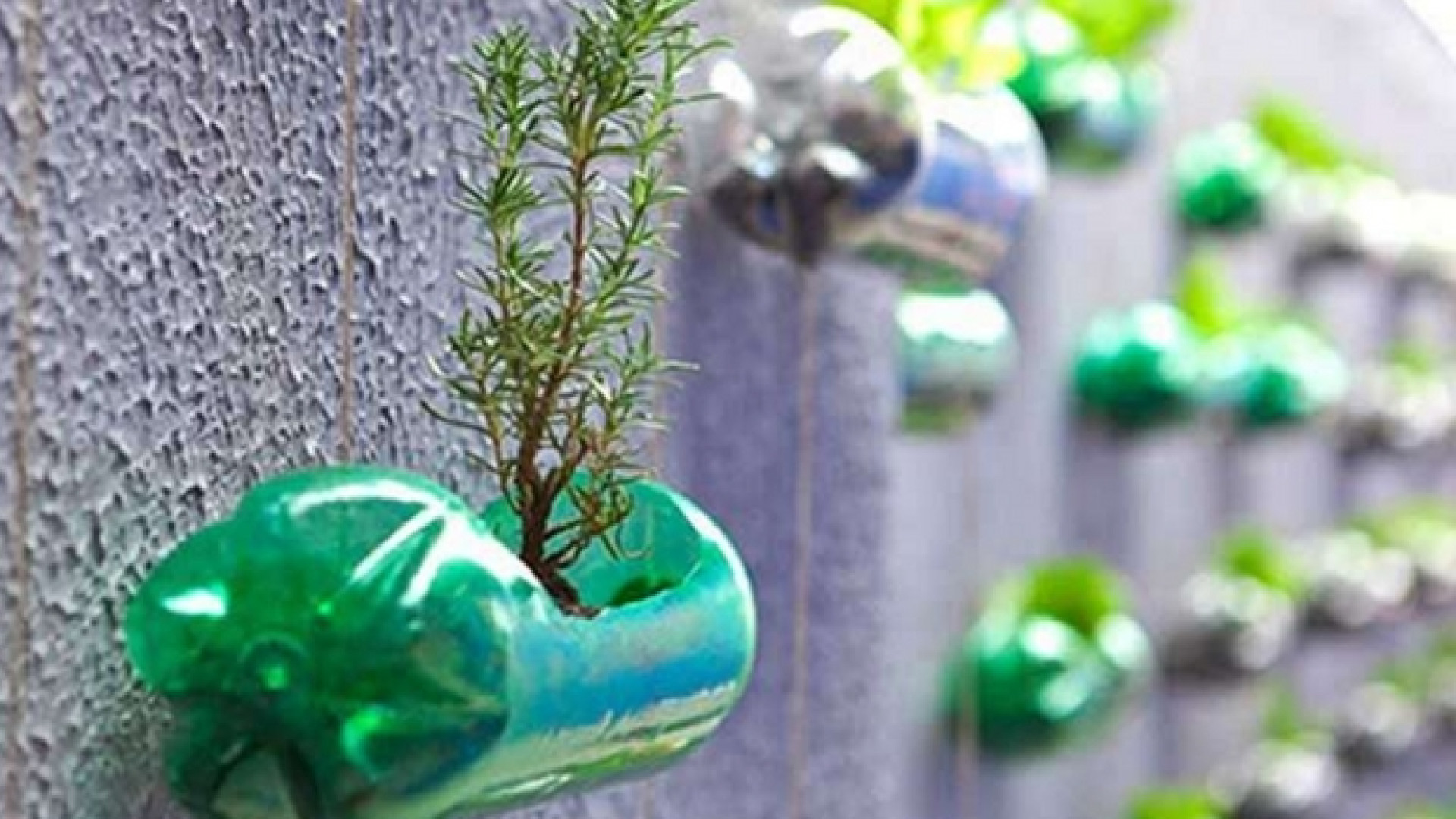 Immagine di Perché dirsi «green» non basta per vincere la sfida sul clima