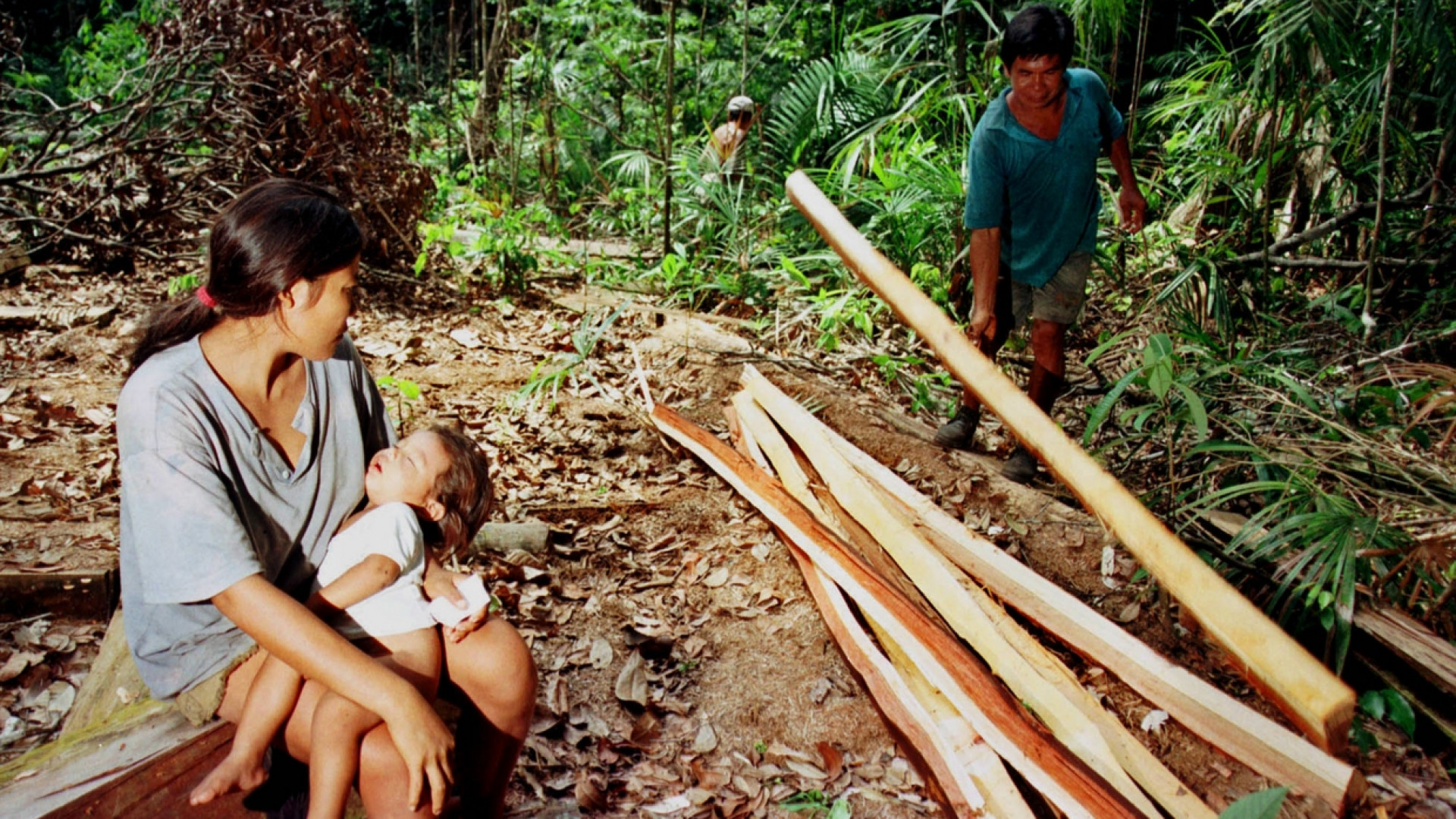 Immagine di «Piano segreto di Bolsonaro per costruire in Amazzonia»