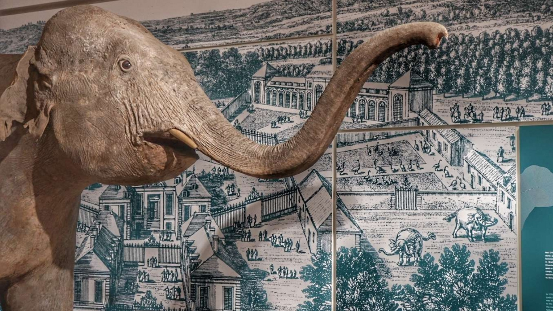Immagine di A Pavia apre Kosmos, raccontare la natura attraverso la sua scoperta