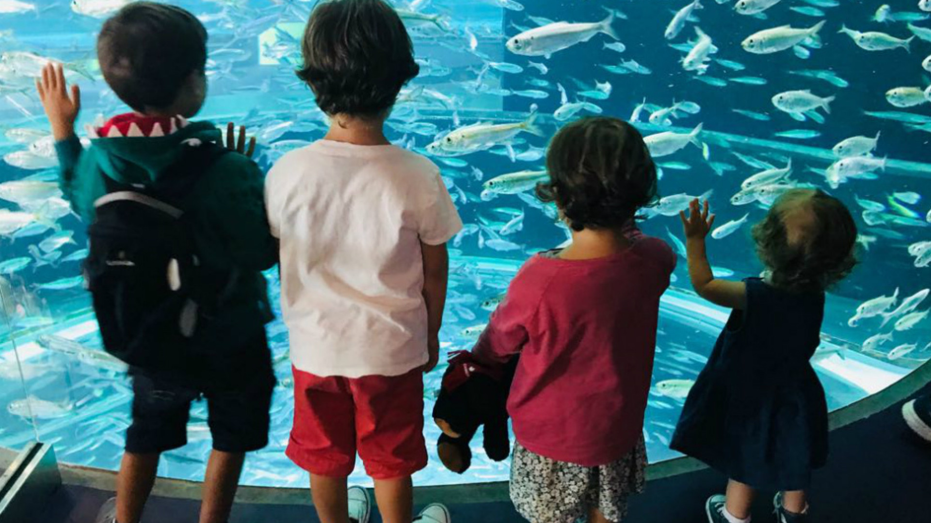 Immagine di «I bambini, la mia vita»