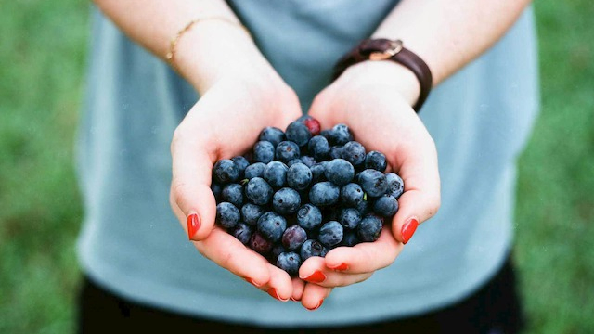 Immagine di L'agricoltura si fa sociale