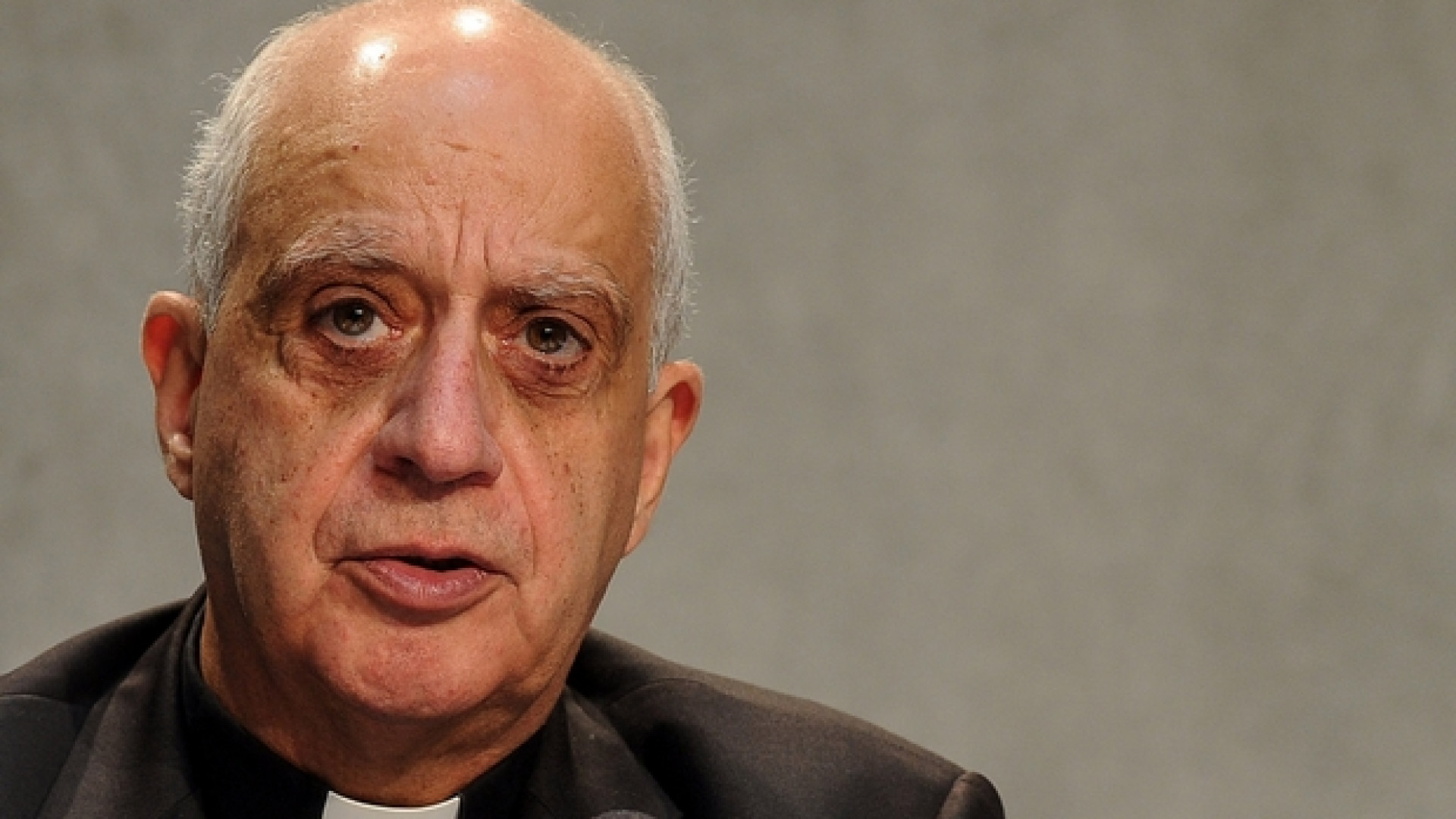 Immagine di Fisichella: «C'è polvere sulle nostre Bibbie»