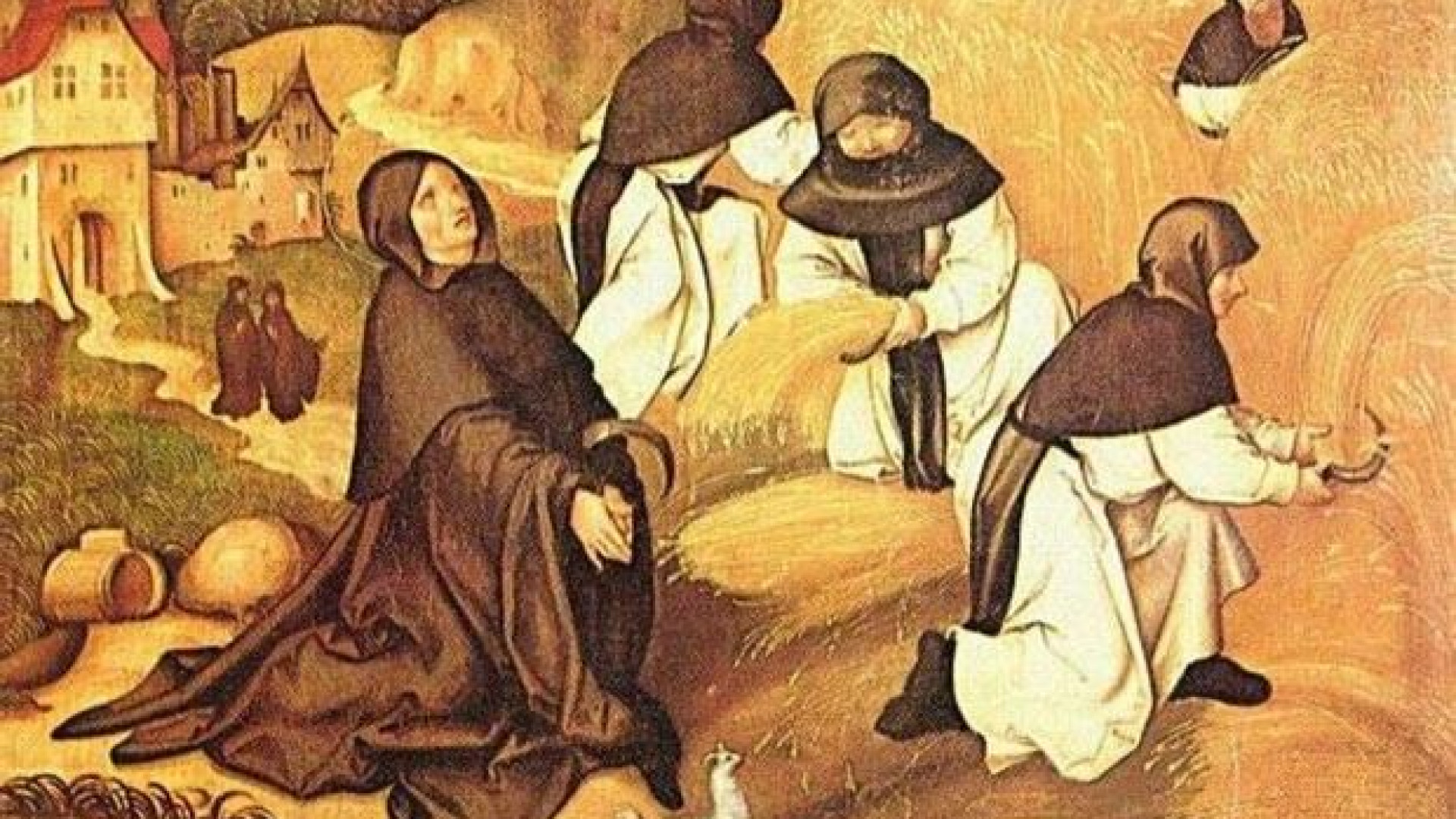 Immagine di Servi “inutili” cioè senza secondi fini, che si donano