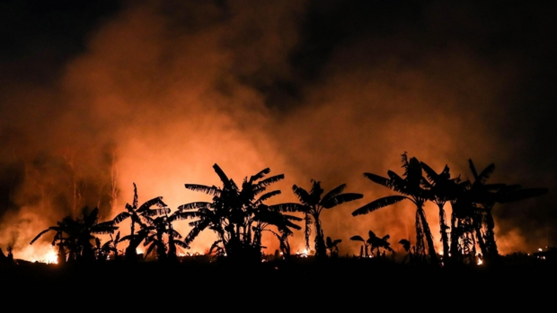 Immagine di Dire Amazzonia e "vederla" per costruire un giusto futuro