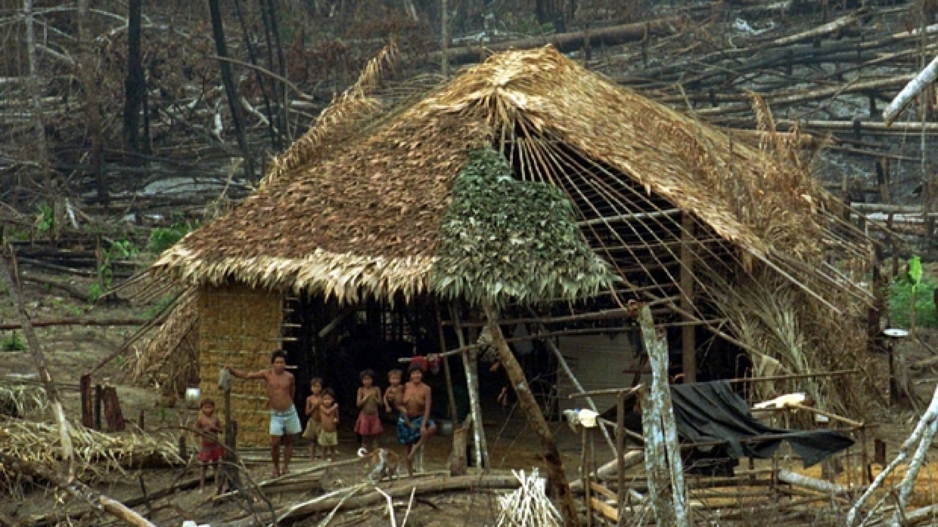 Immagine di Amazzonia, gli infanticidi? Quasi scomparsi