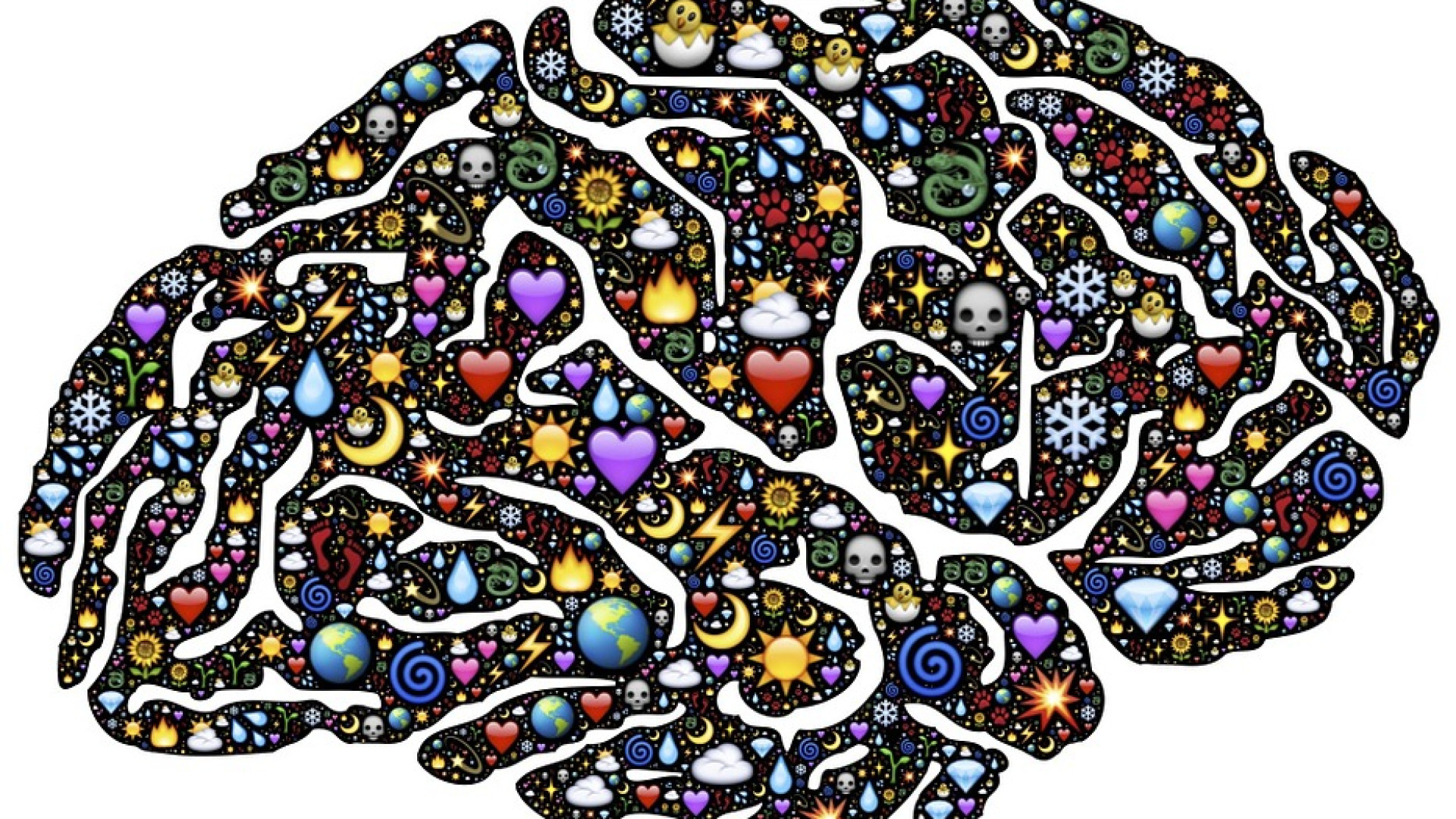 Immagine di Gara da 20 milioni tra scienziati per svelare i misteri della coscienza umana