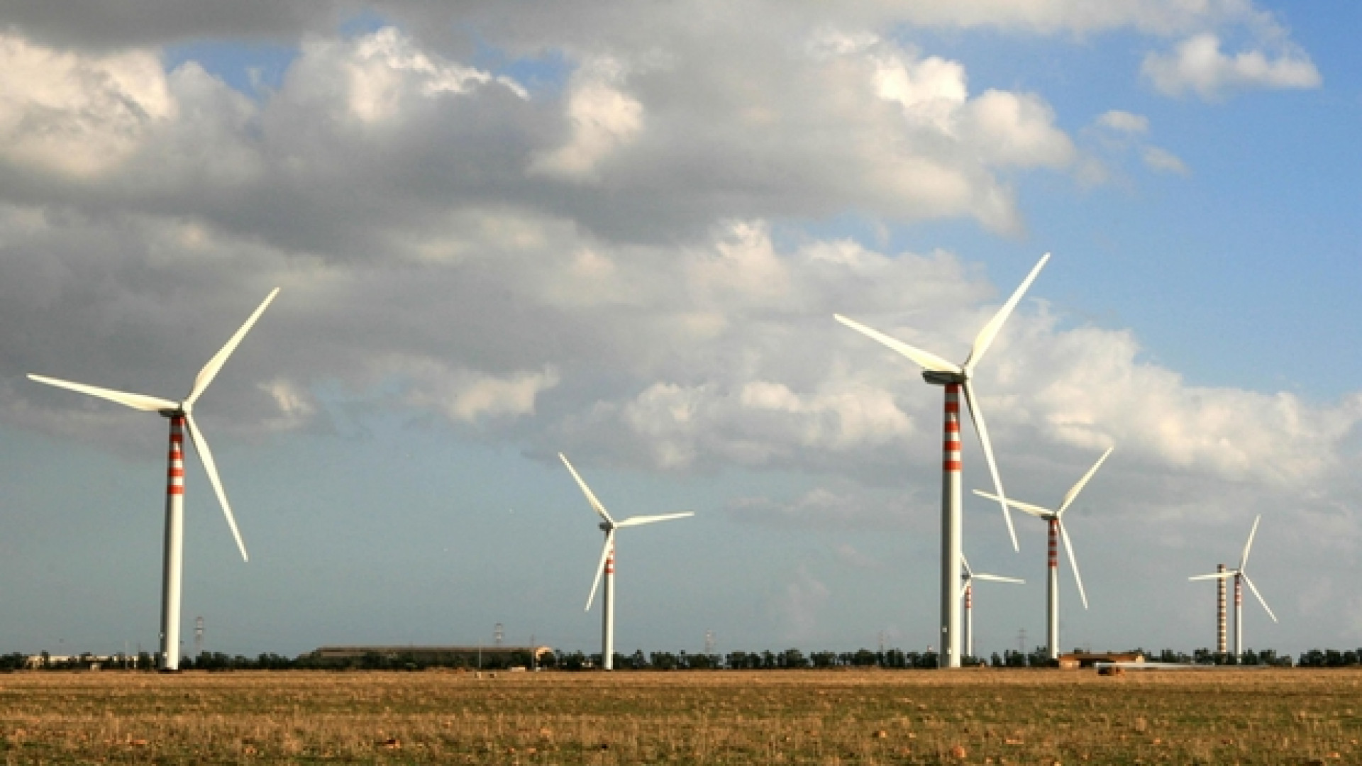 Immagine di 430mila imprese scommettono sulla green economy