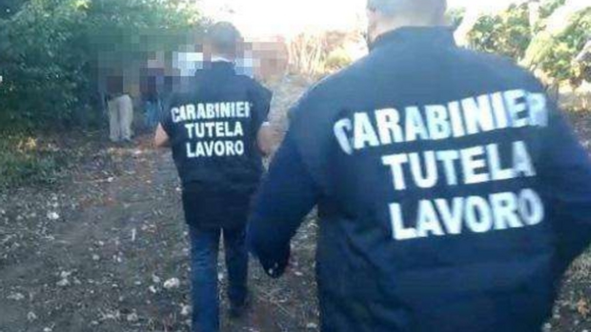 Immagine di Sfruttata dai caporali abortisce nei campi. Inchiesta ad Agrigento