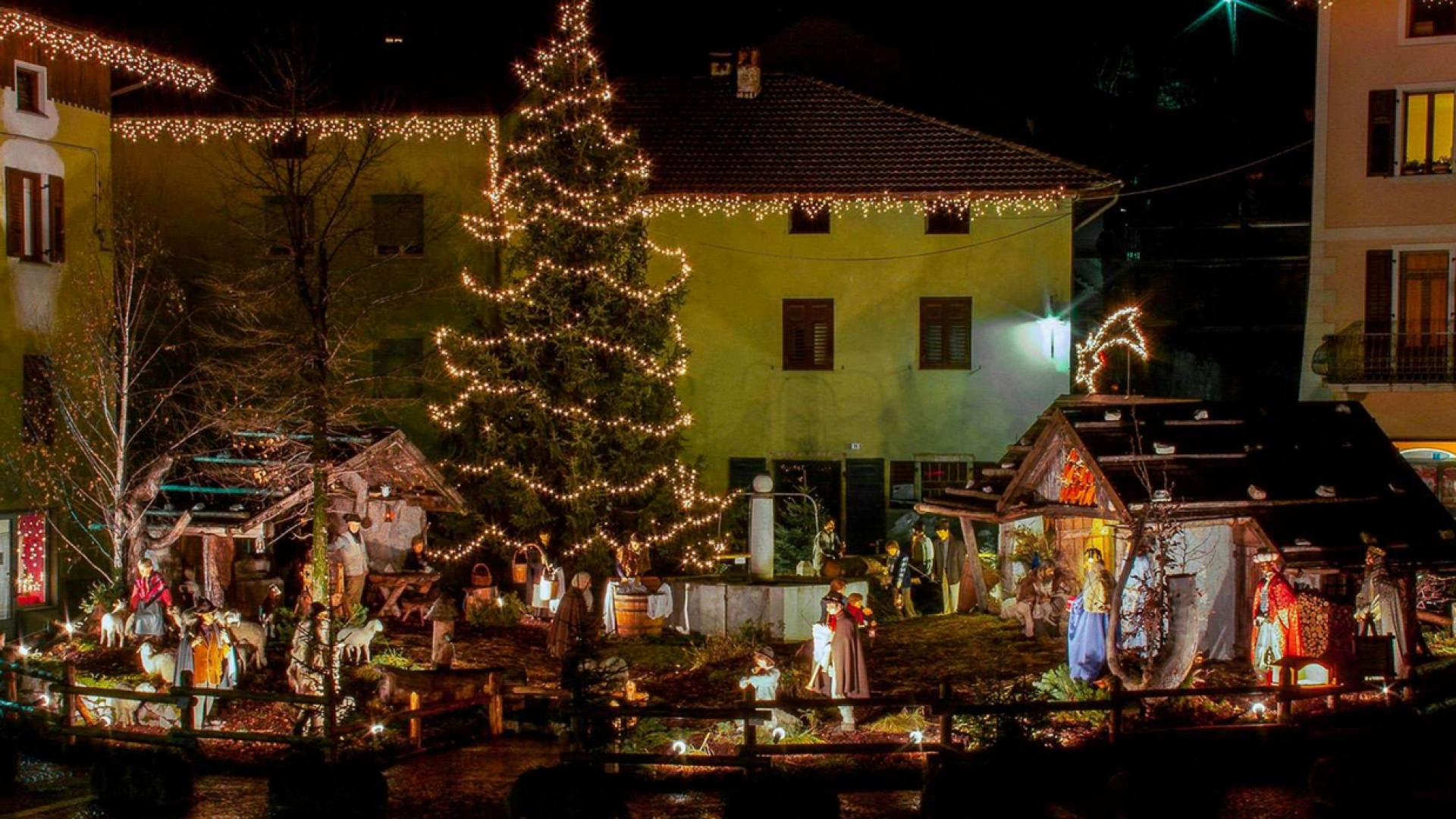 Immagine di Dal Triveneto il presepe e l'albero di Natale per Piazza San Pietro
