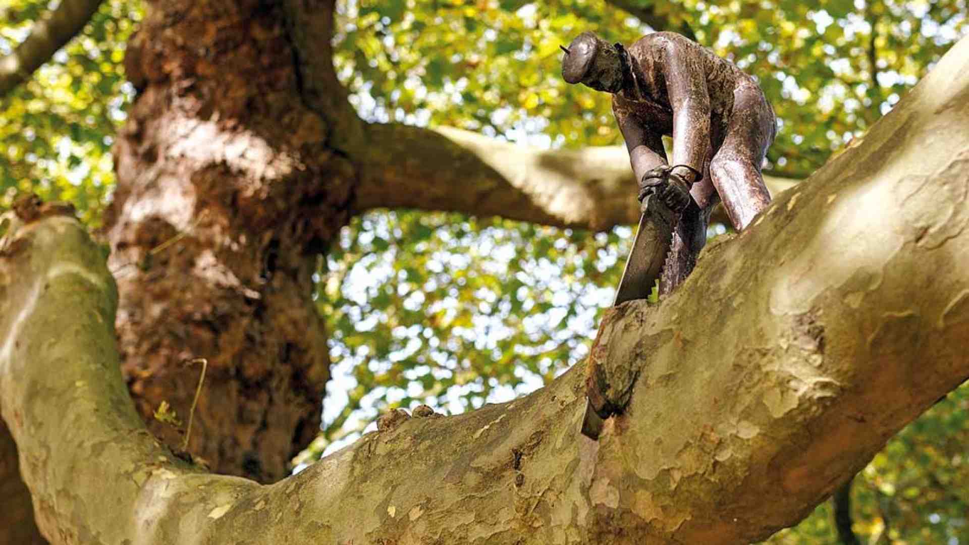 Immagine di Appello al governo: giù le mani dal Terzo settore!