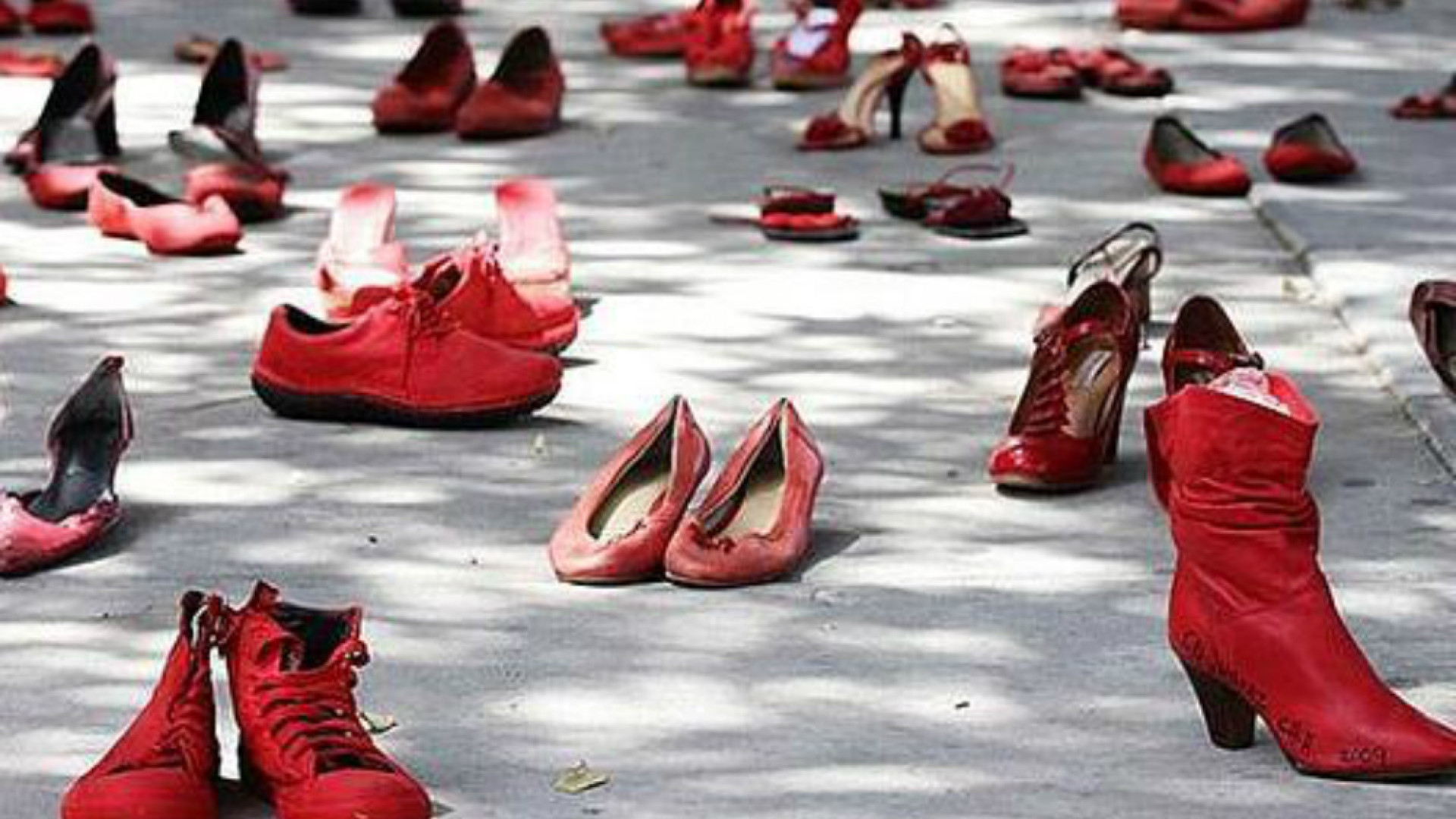 Immagine di Saliti i “codici rossi”, in un anno oltre 300