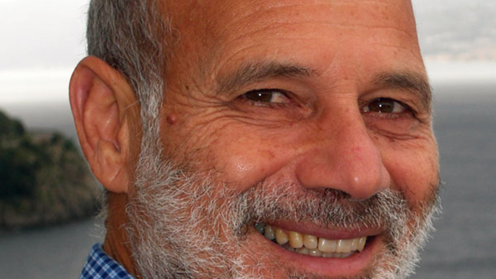 Immagine di Il Mes, la sua storia, le intenzioni e i vuoti