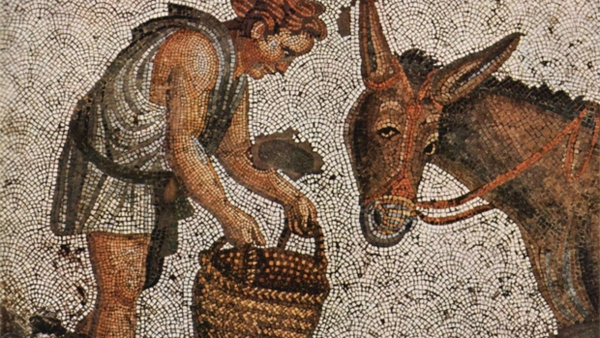 Immagine di Povera filosofia ridotta a ricetta terapeutica