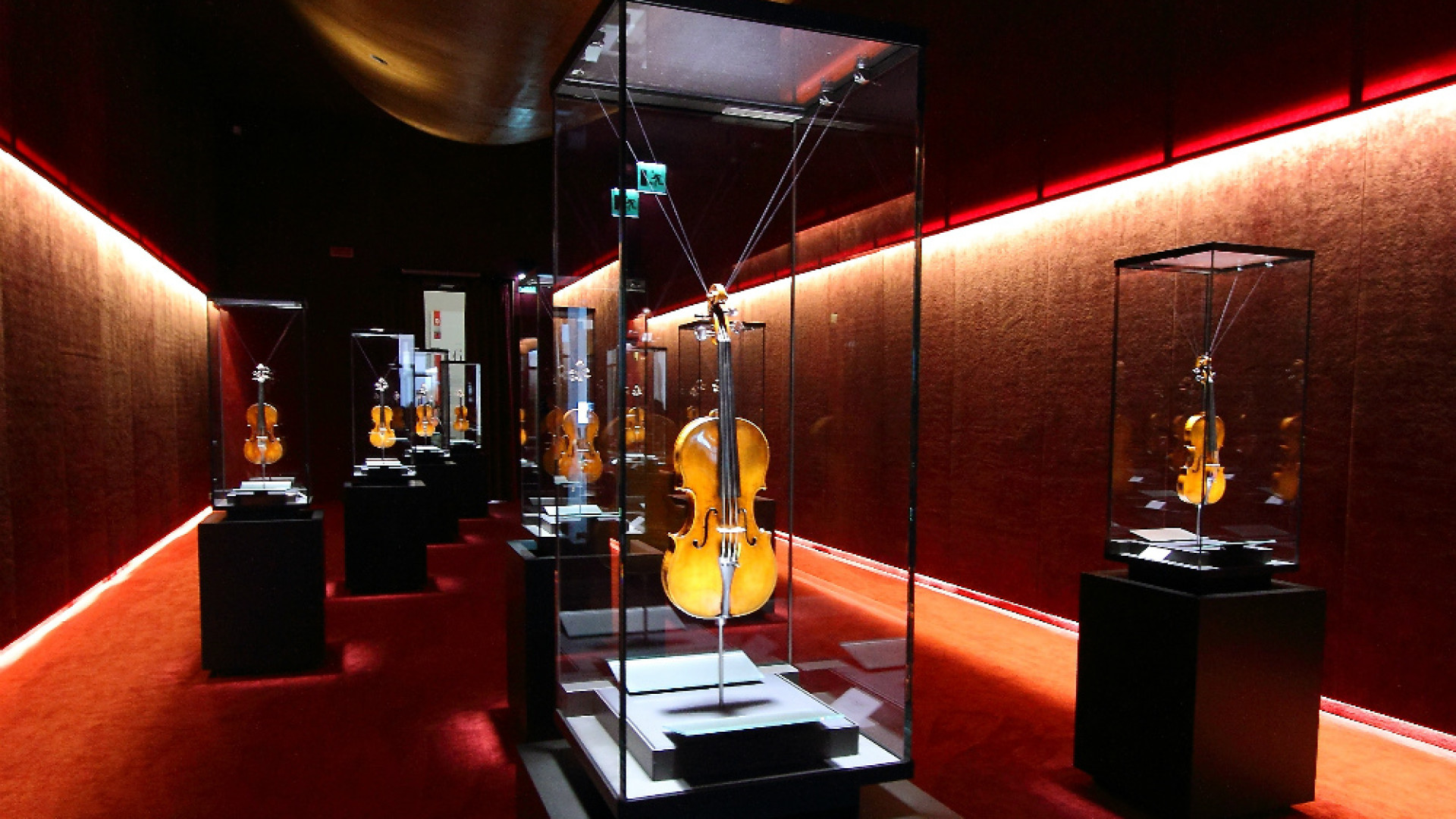 Immagine di Nuovo gioiello nello Scrigno del Museo del Violino