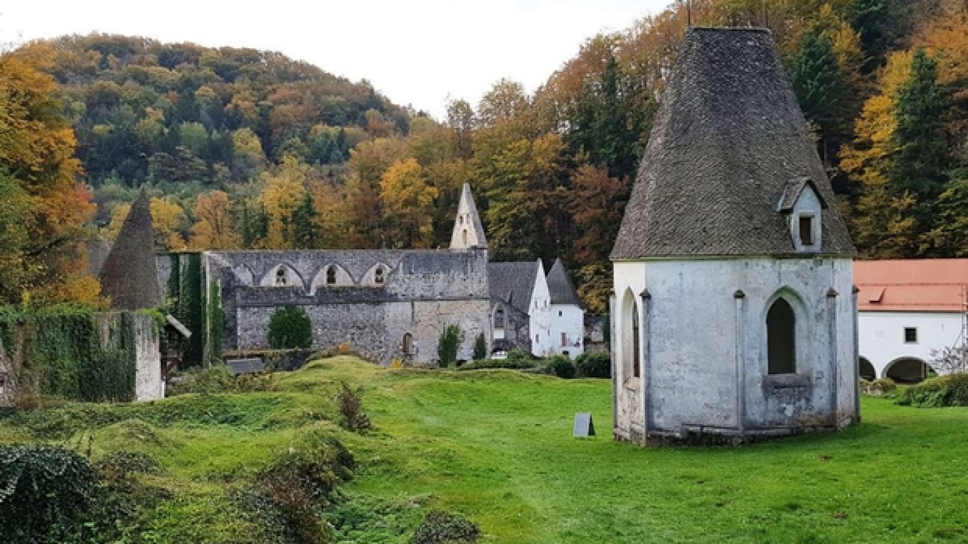 Immagine di I muri della Certosa di Seitz e il limite tra storia e mistica