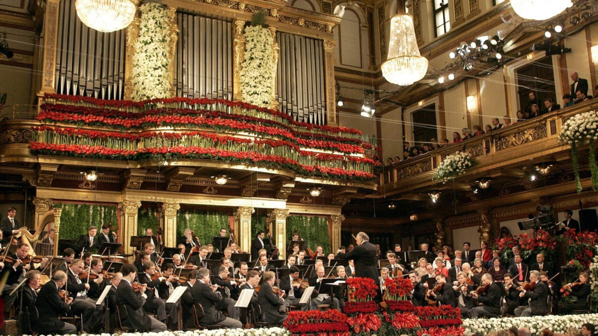 Immagine di Al Concerto di Capodanno una nuova Marcia di Radetzky senza ombre naziste
