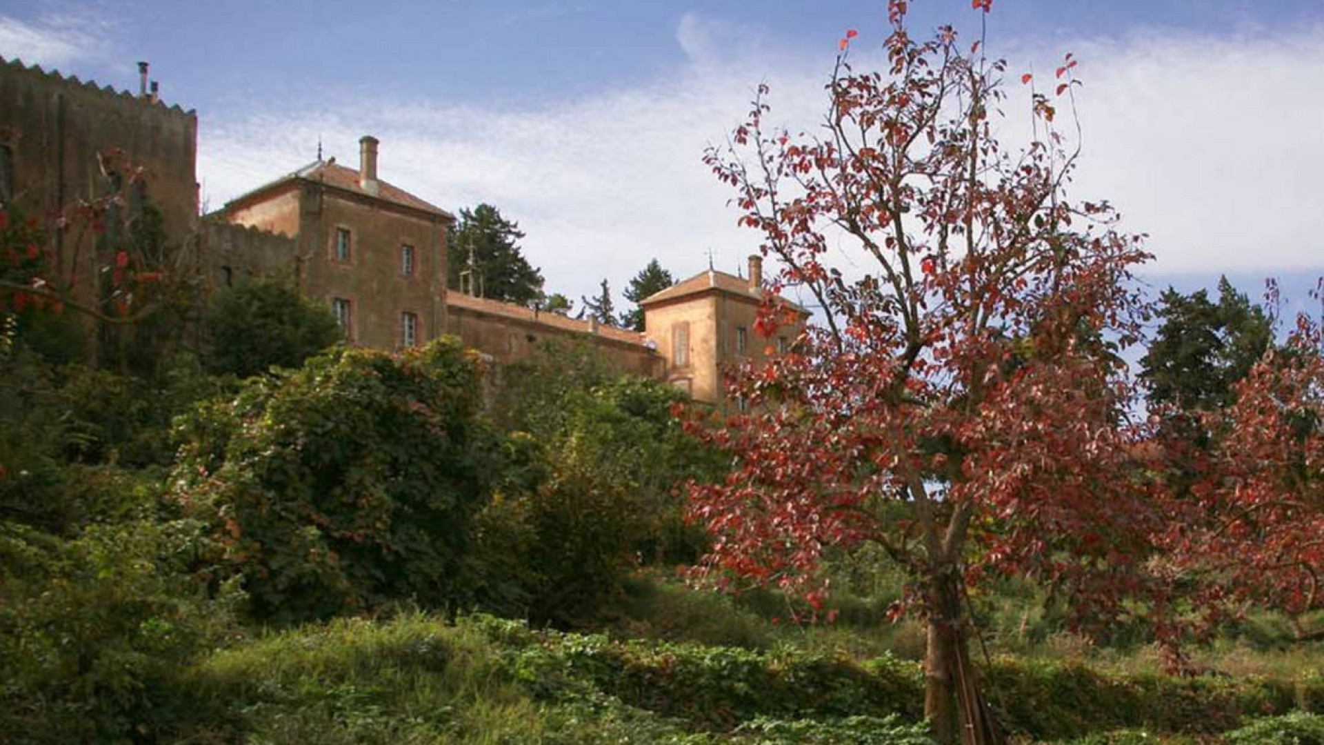 Immagine di «Il nostro Natale a Tibhirine, alla scuola dei monaci trappisti martiri»