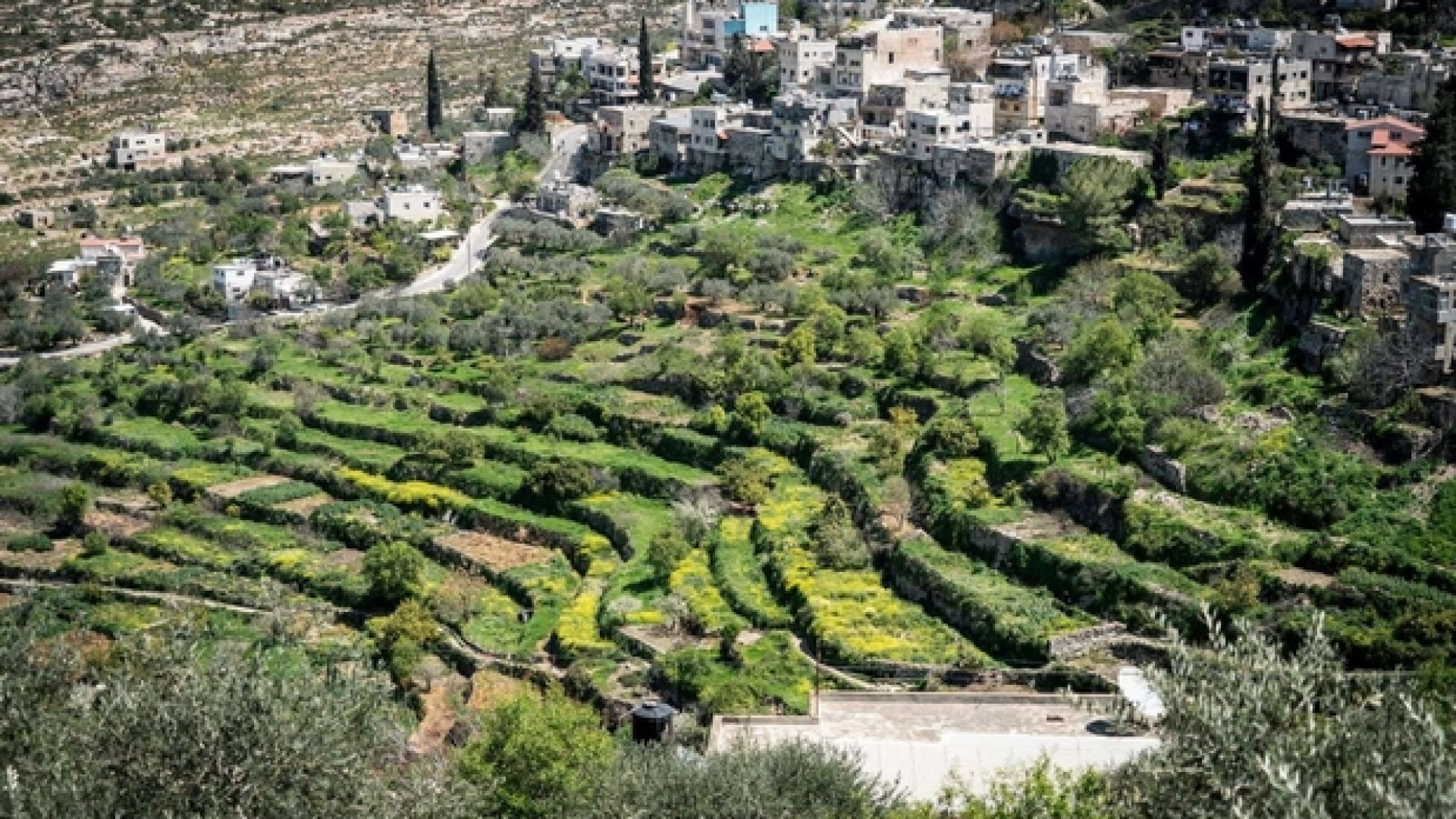 Immagine di Palestina, la sfida di Battir il villaggio dell'«Intifada verde»