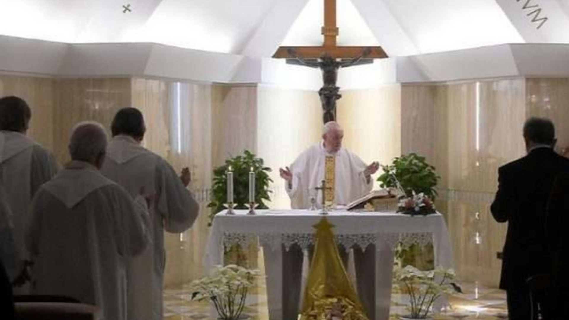 Immagine di Il Papa: oggi tanti fuochi di guerra, la vera pace si semina nel cuore
