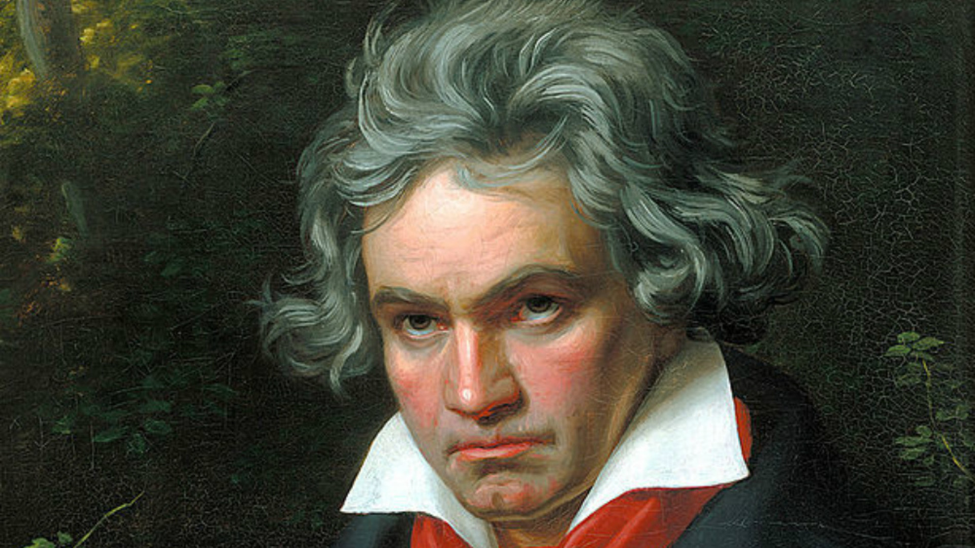 Immagine di Beethoven e dintorni