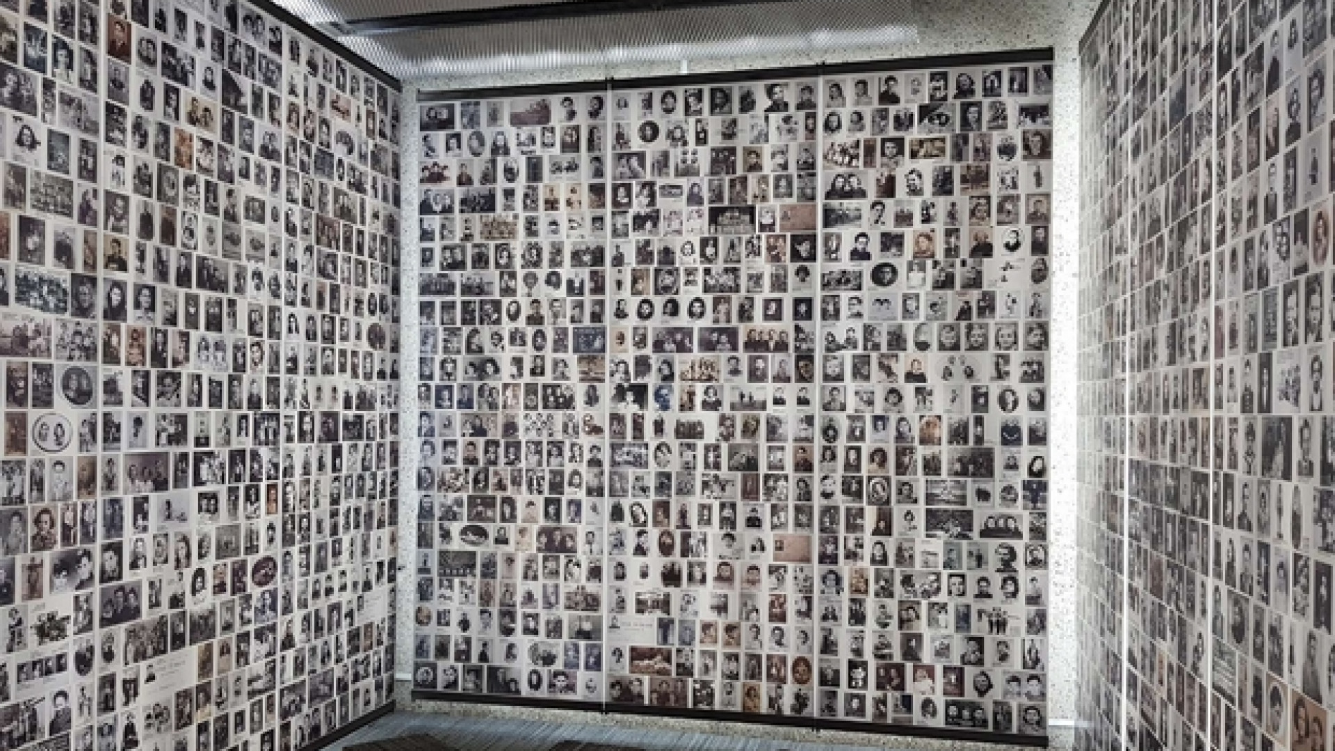 Immagine di La Memoria da sola non basta se non ci tocca nella carne viva