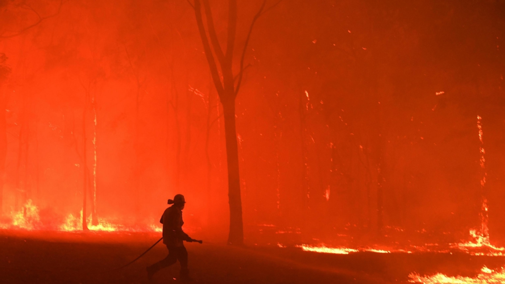 Immagine di È tutto il mondo che va a fuoco: 2019 anno nero degli incendi