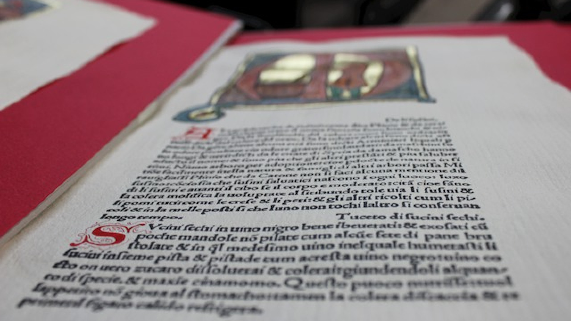 Immagine di Dalla carta al pixel, così evolve il libro della vita