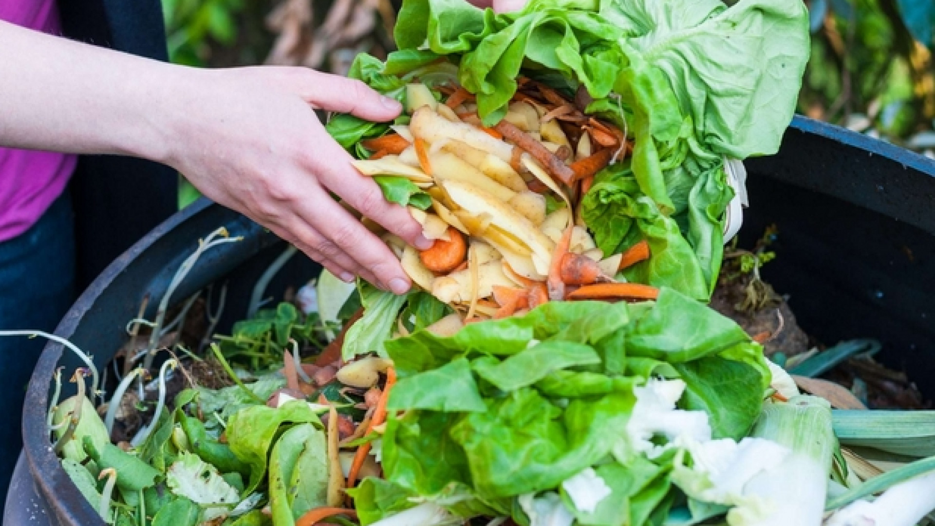 Immagine di L'Italia ora spreca meno cibo