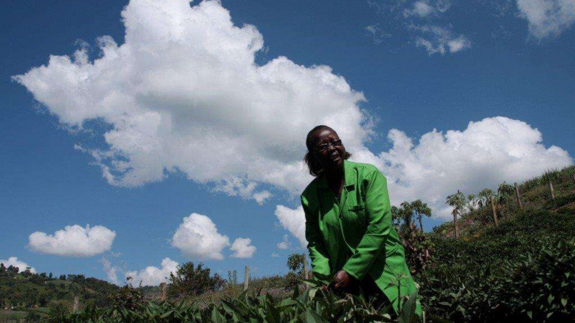 Immagine di Così i contadini del Kenya vanno a scuola di sostenibilità